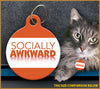 Socially Awkward Cat ID Tag