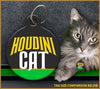 Houdini Cat Cat ID Tag - Aw Paws