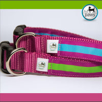 Stripes Rose Dog Collar - Aw Paws