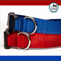 Red or Royal Blue Dog Collar