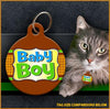 Baby Boy Cat ID Tag