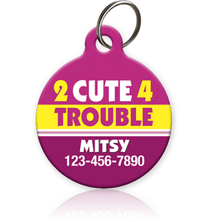 pet id tag